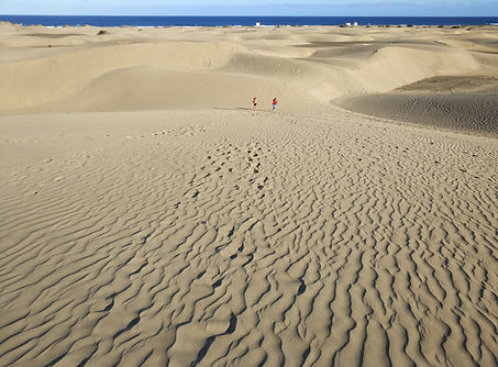 дюны у океана.JPG