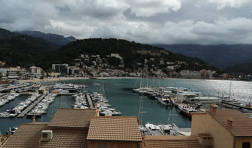 2021-02-07 12-19-54.JPG