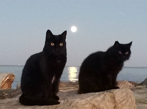 марина Мачинаджио.jpg